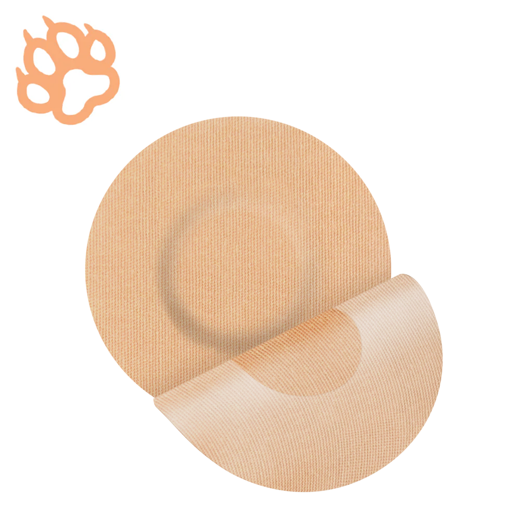 Fixation for Your Sensor